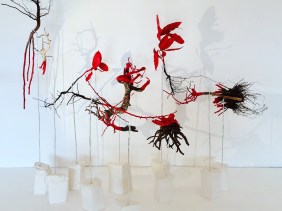 Natures vraiment mortes